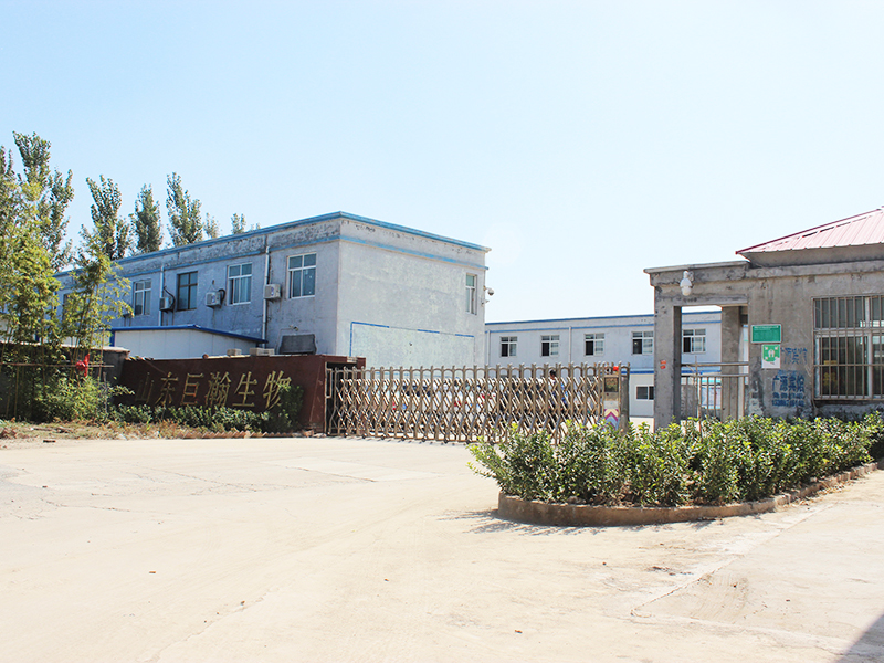 IMG_6422.JPG 企業(yè)風采